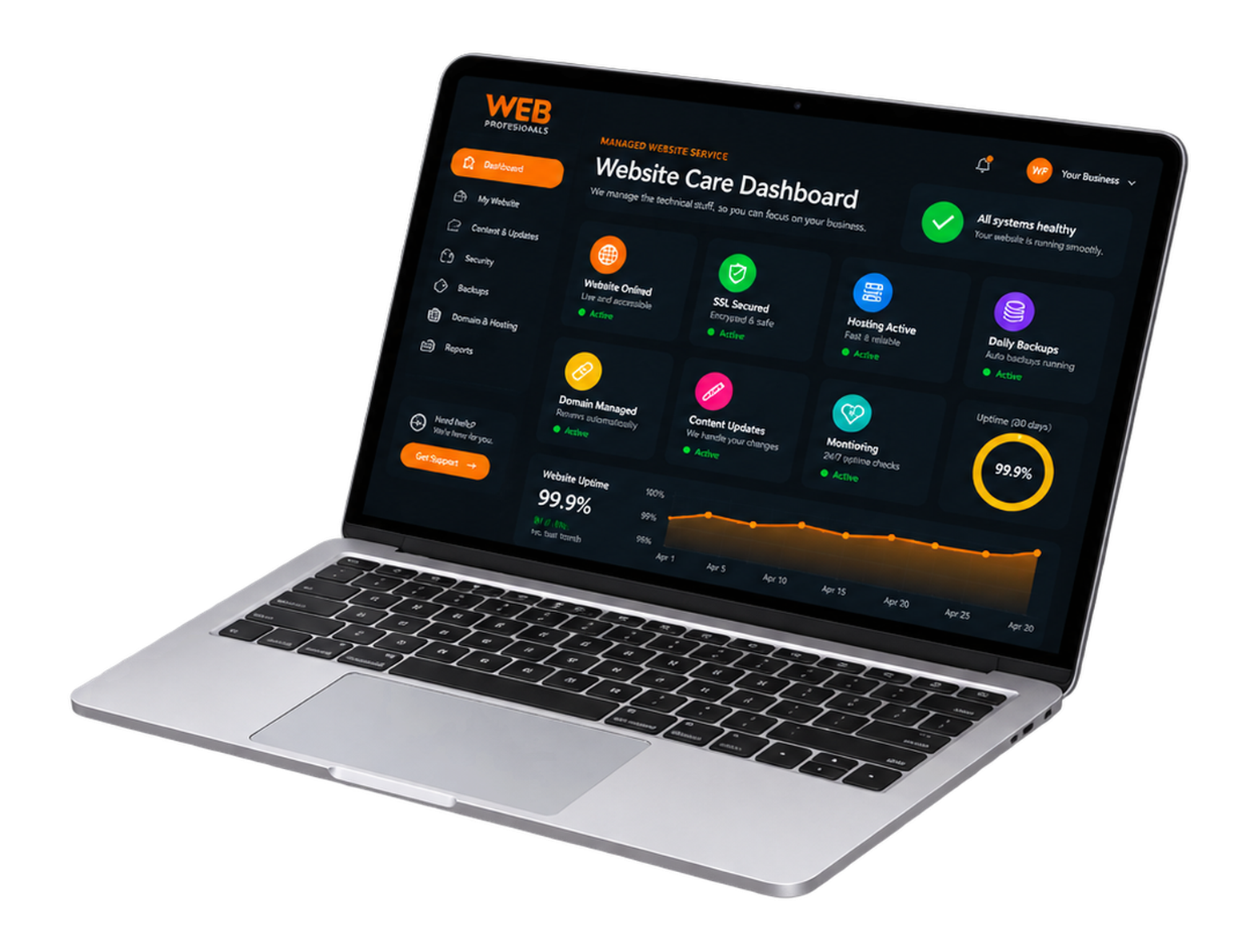 Web Professionals managed website care dashboard displayed on a laptop